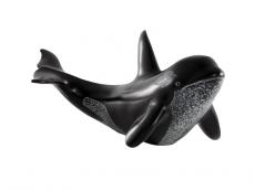 Panabo Sm Killer Whale